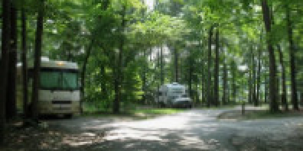 Luxury RV Park Steinhatchee FL: Discover the Ultimate Steinhatchee RV Park Experience