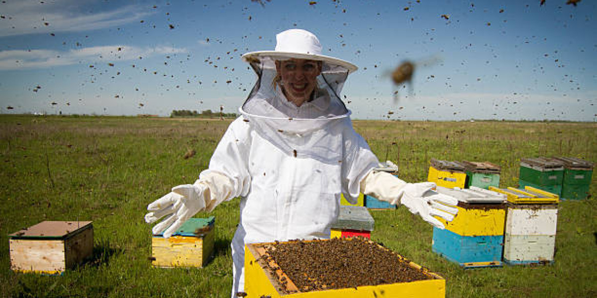 Safe and Effective Bees Control for Your Home and Family