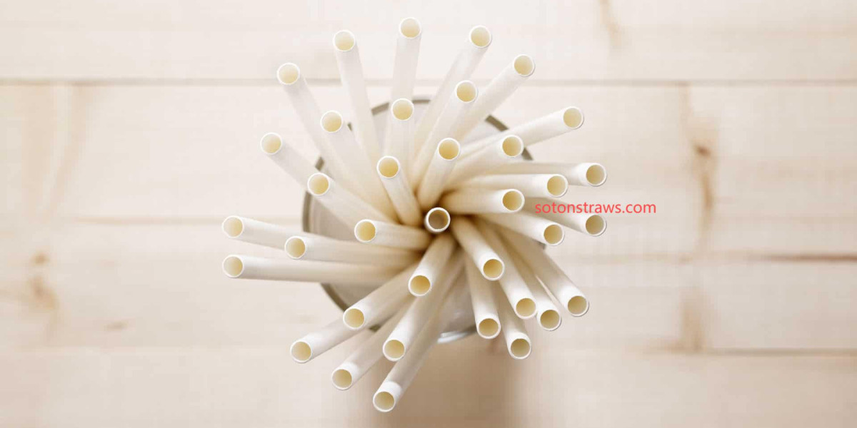 Eco-Conscious Production at Soton Paper Straws Manufactory