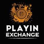 playin exch99 Profile Picture