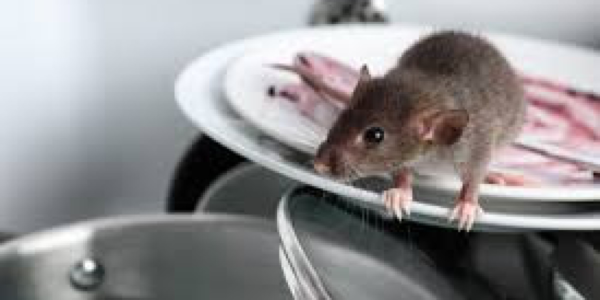 Insect-Specific Treatments: Targeted Solutions for Lasting Pest Control