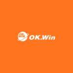 Okwin Game Profile Picture