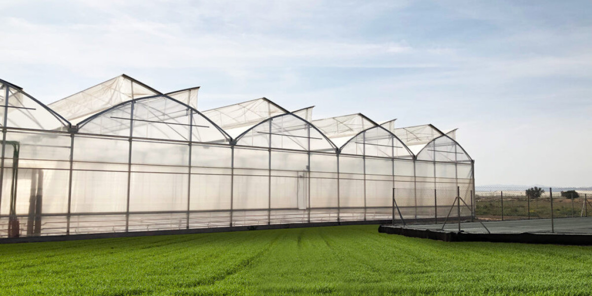 What Makes Polyethylene Plastic for Greenhouse the Best Choice for Growers in 2025?