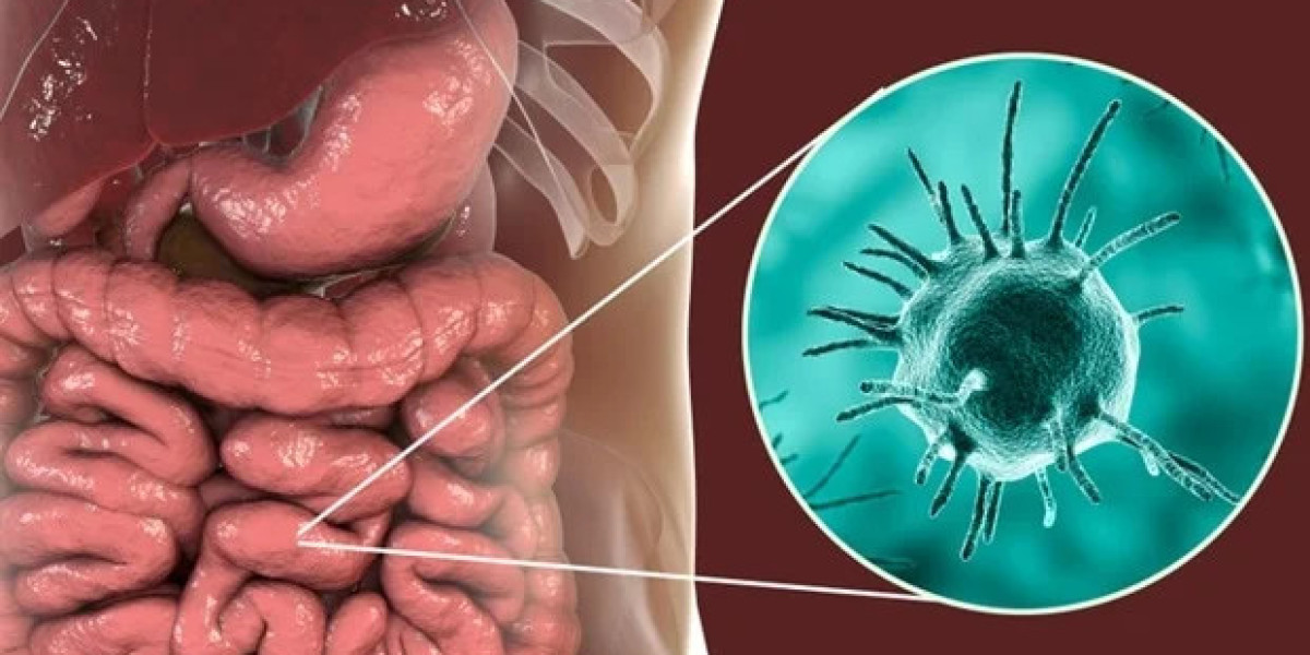 The Role of Nutrition in Managing Hepatic Amoebiasis
