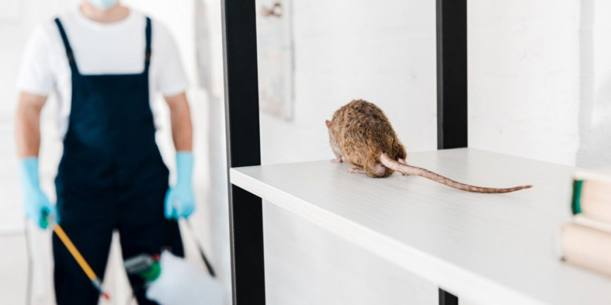 Keep Your Home Safe with Effective Mice Control Solutions