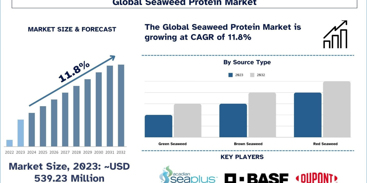 Seaweed Protein Market, Growth, Size, Share, Trends and forecast (2024-2032)