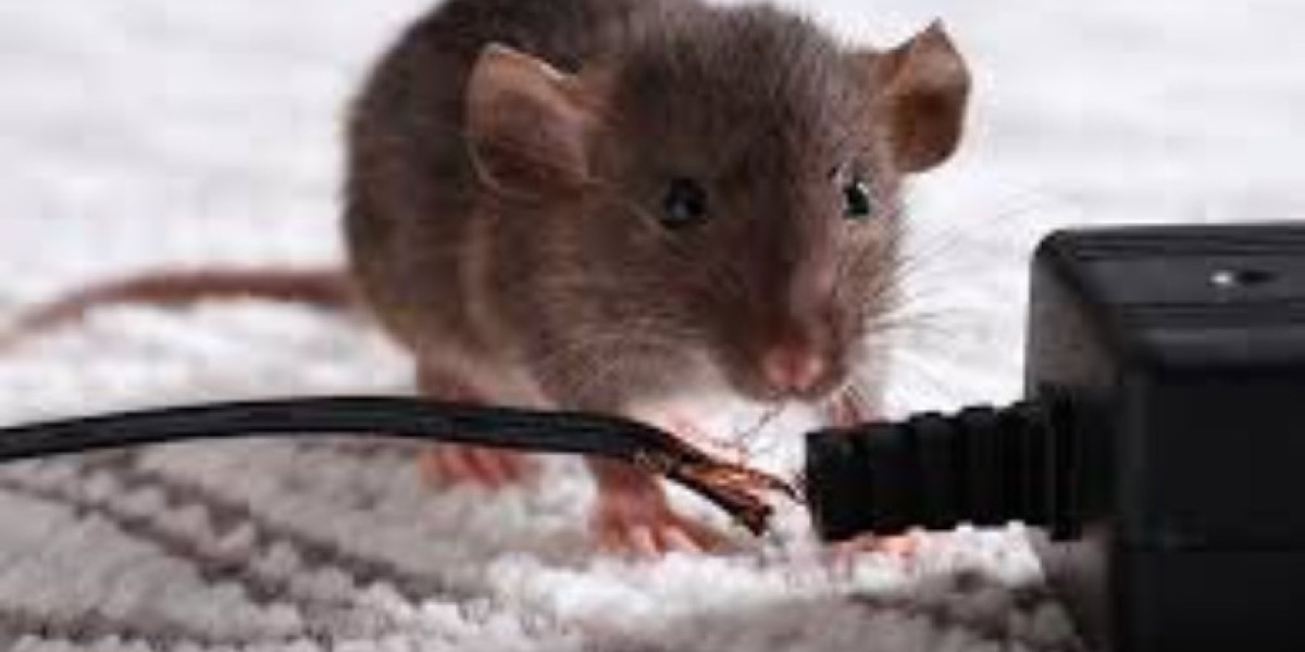 Trusted Pest Professionals: Reliable Solutions for a Pest-Free Environment