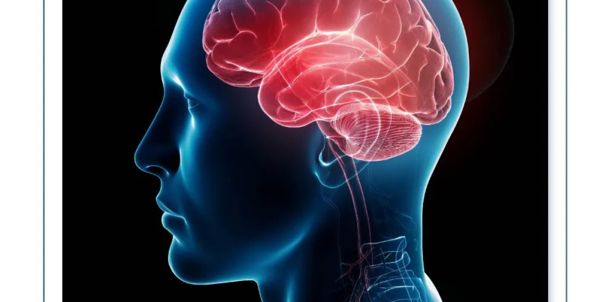 PTSD Symptoms: How Trauma Impacts Mind and Body