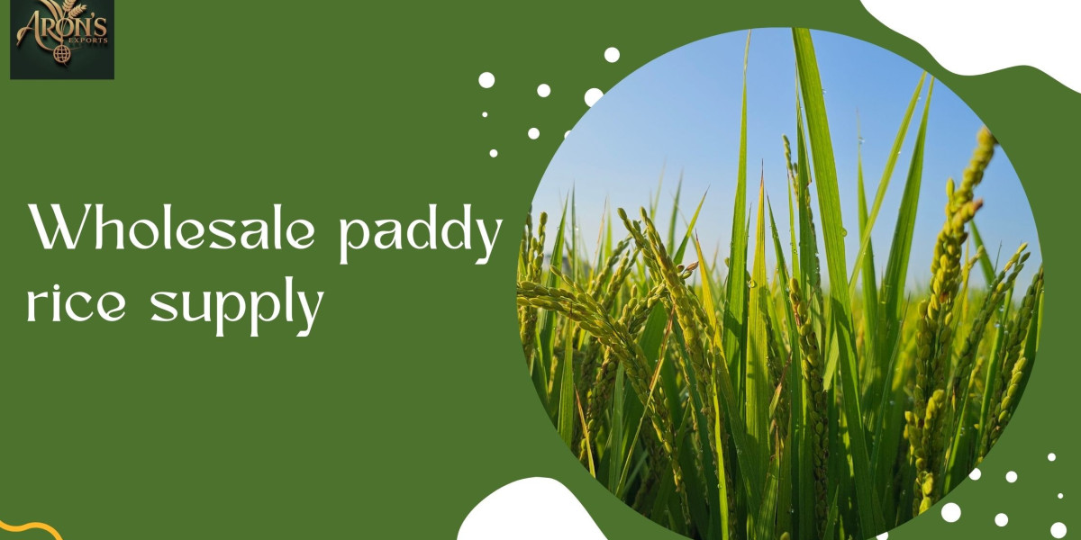 The Complete Guide to Wholesale Paddy Rice Supply for Exporters