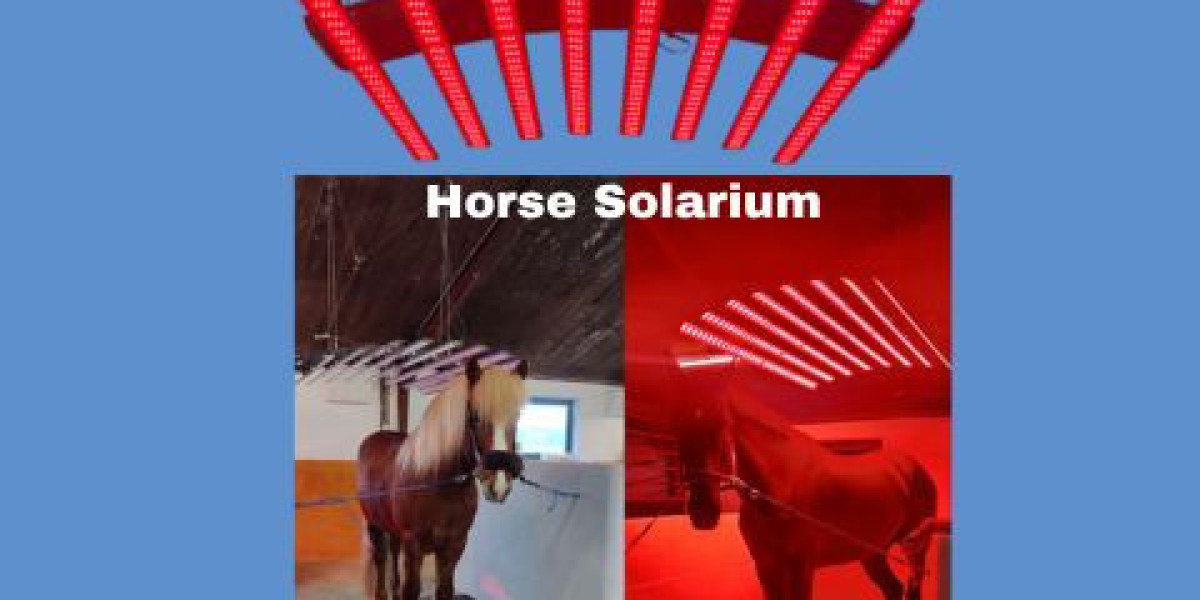 Enhance Equine Health and Comfort with a Premium Horse Solarium