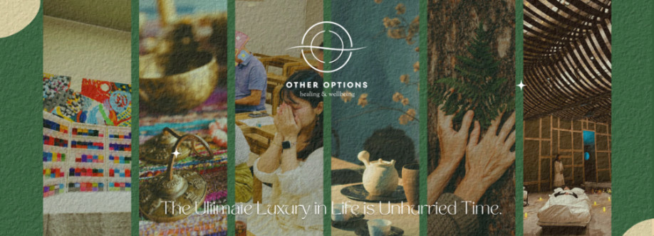 Other Options Healing and Coaching Cover Image