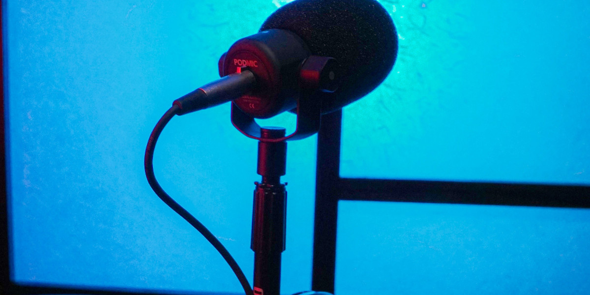 The Impact of Podcasts on Youth Education and Career Guidance in Karachi