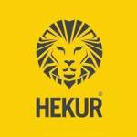 Hekur INDIA Profile Picture