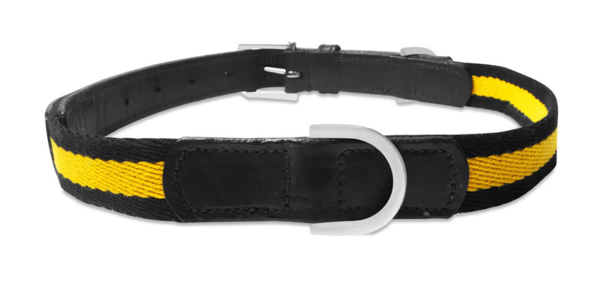 Accessories of Dogs: A Complete Guide to Comfort, Safety, and Everyday Style