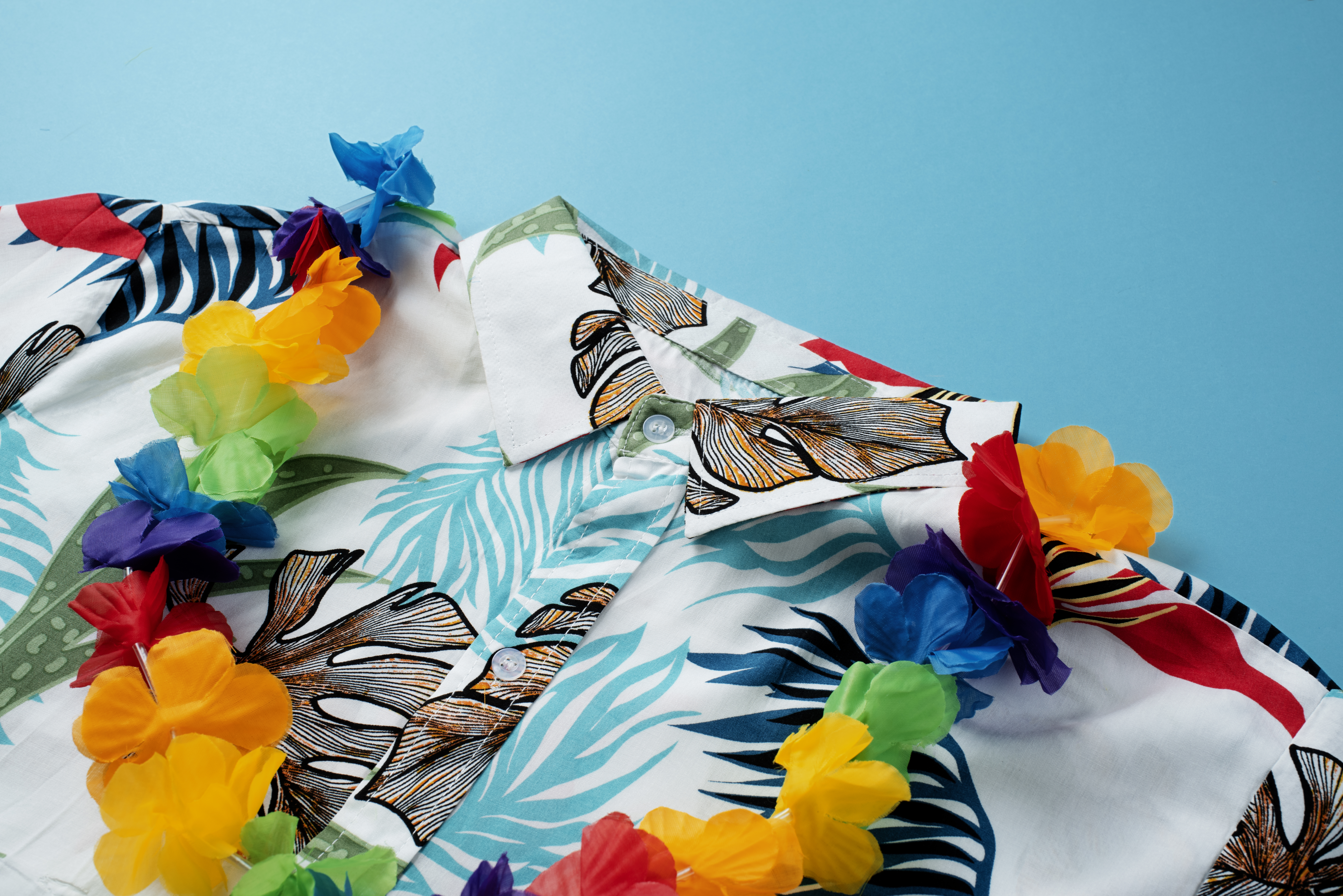 Digital Textile Printing vs Traditional Printing: Key Benefits, Costs, and Quality Differences – Site Title