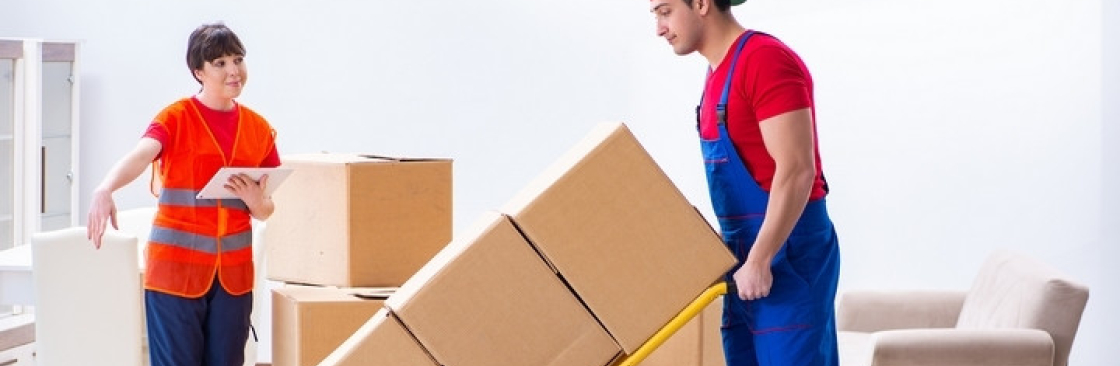 Spider Packers and Movers Cover Image