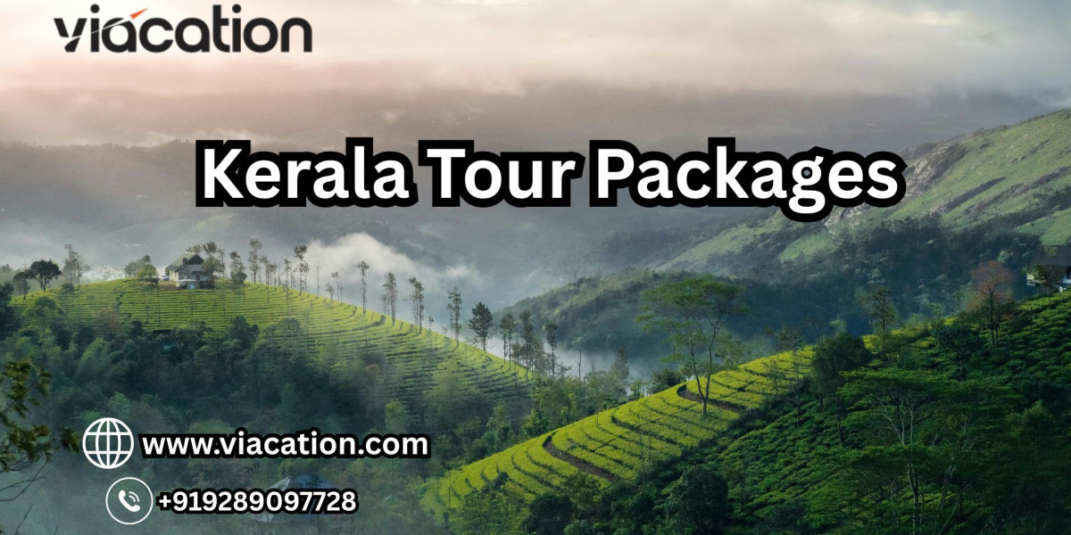 Why Kerala Is the Perfect Destination for Family Tour Packages?