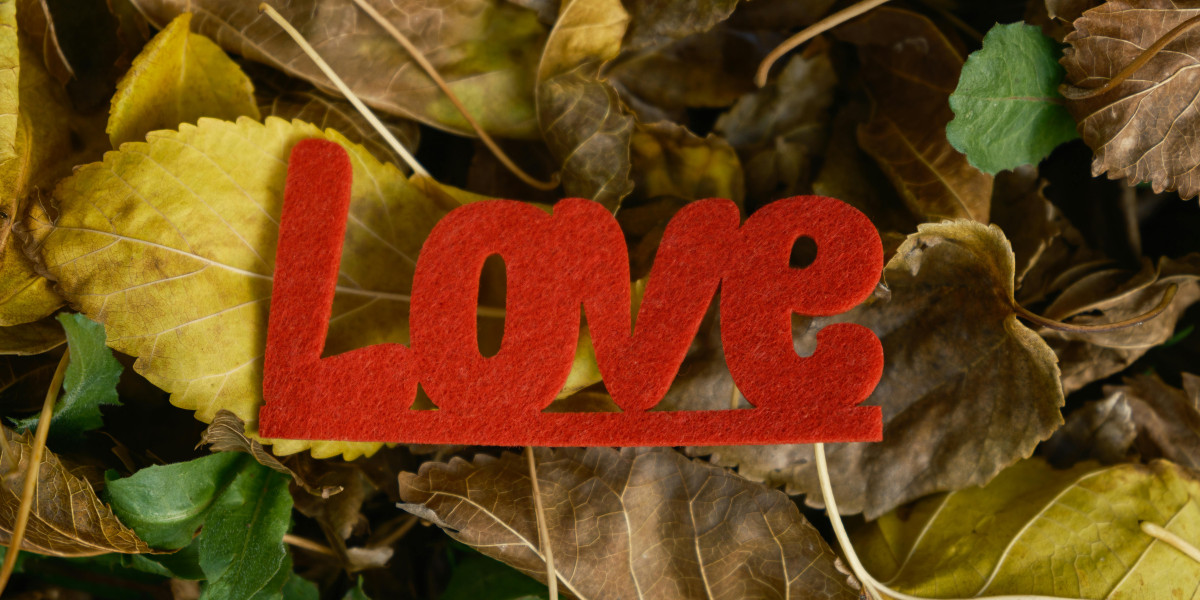 Buy Your Favorite Valentine’s Day Jacket and Elevate Your Style with William Jacket