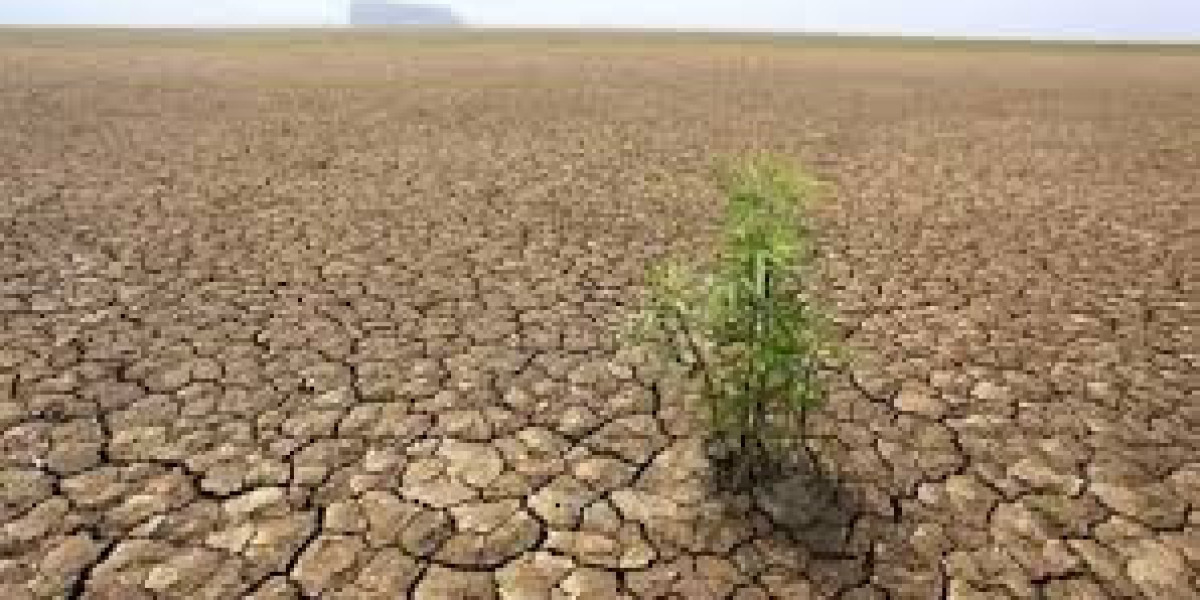 La crisis global del suelo fértil