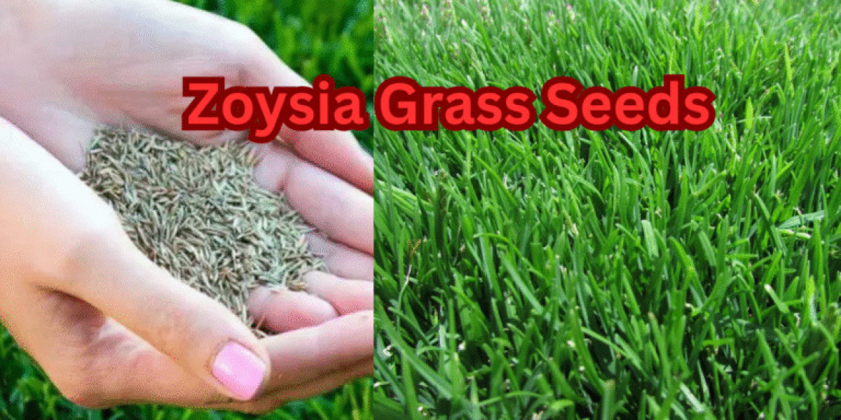 Zoysia Grass Seed – Best Varieties & Buying Guide 2025