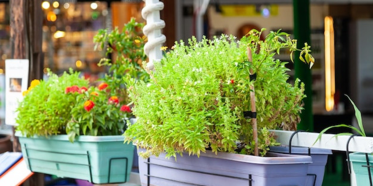 Hydroponic gardening supplies for Thriving Self-Watering Planters