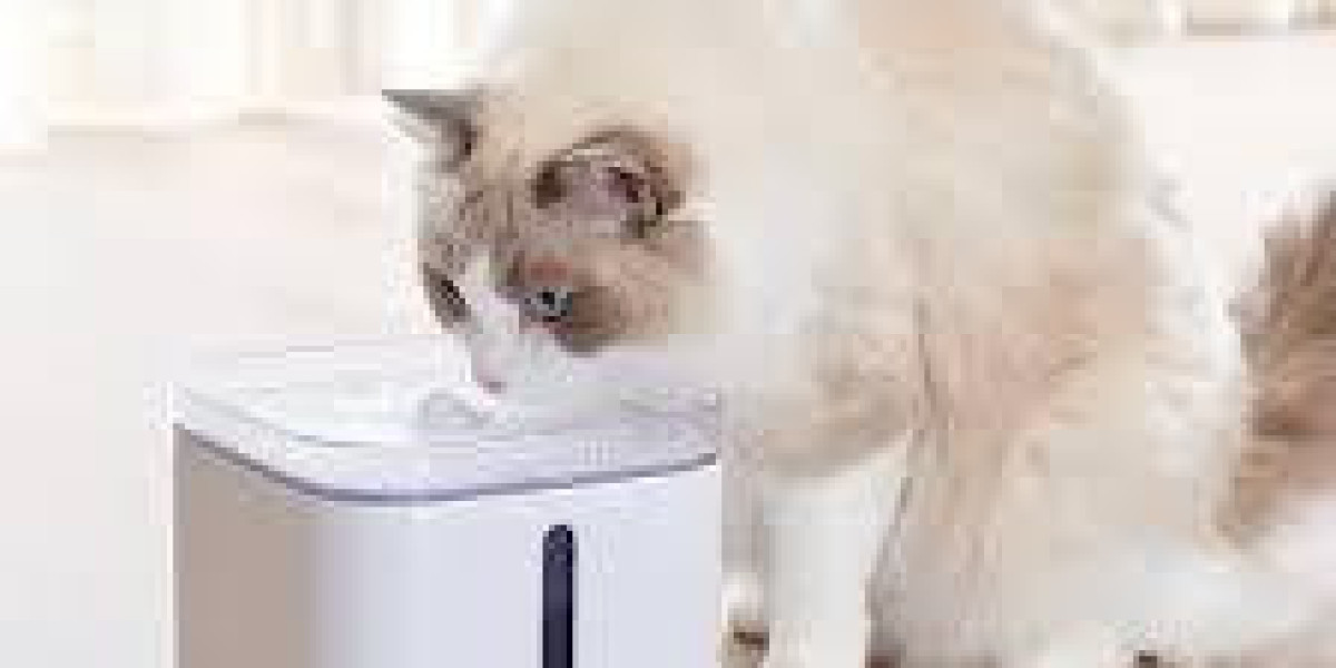 Tallfly Opey Pet Water Fountain Factory: Pet-Centered Design