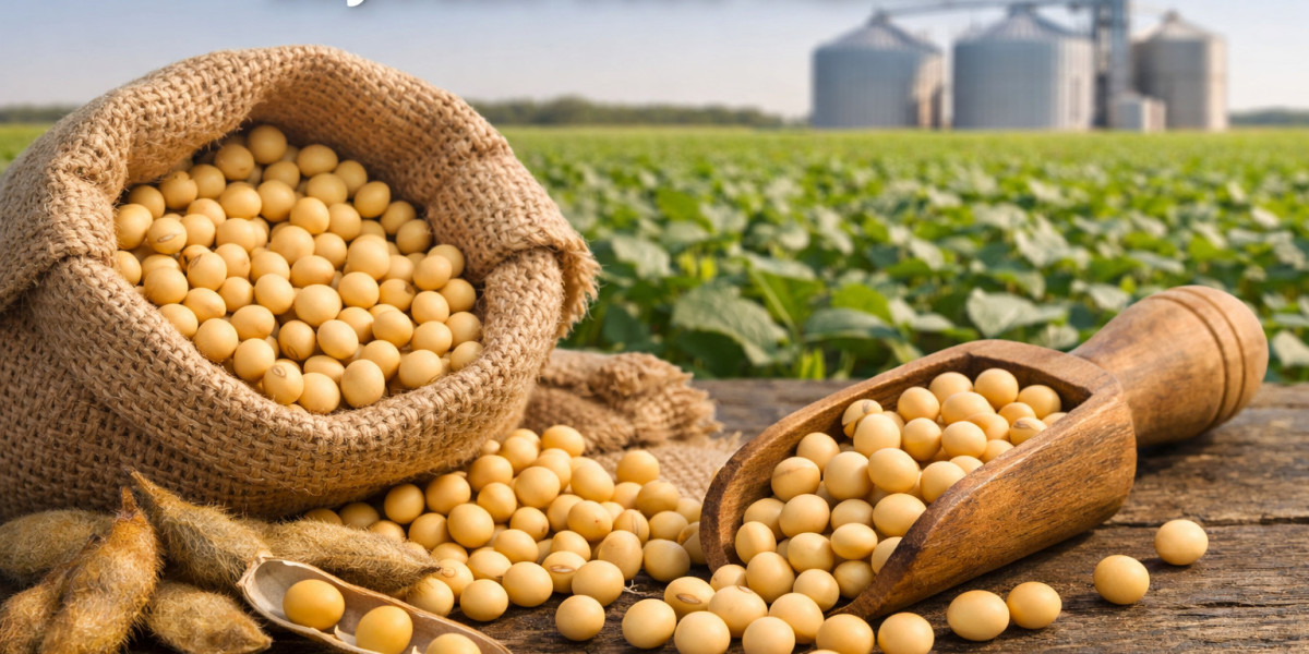 Global Soybean Seed Market Analysis: Key Players, Demand, and Supply Insights