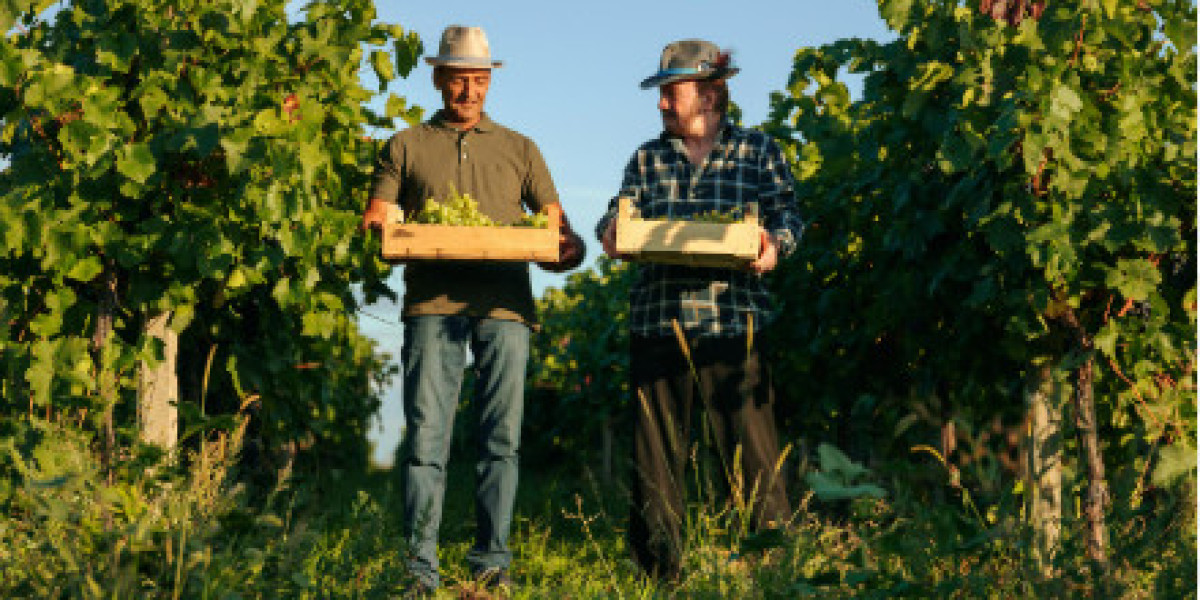 Wine Trends 2025: The Change in the Wine Business