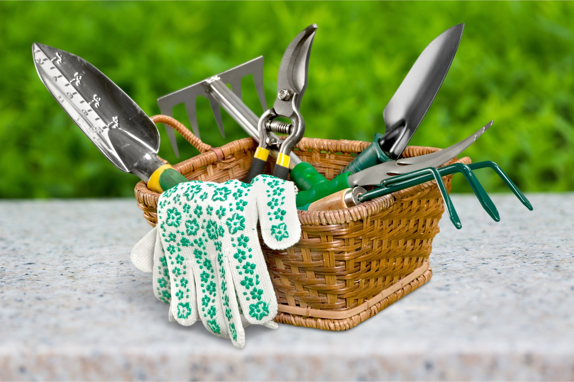 Why Quality Garden Equipment Matters for Healthy Gardens – Damam Hardware