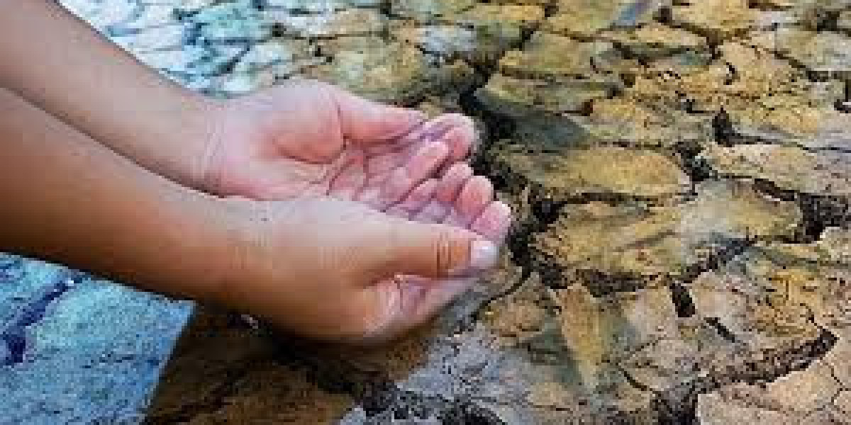 La crisis global del agua dulce: el conflicto que aún no llamamos conflicto