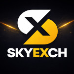 skyexchange.exchange Profile Picture