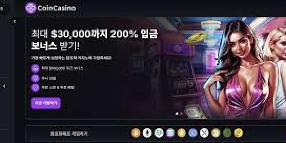 코인카지노 사이트와 디지털 금융 환경의 변화