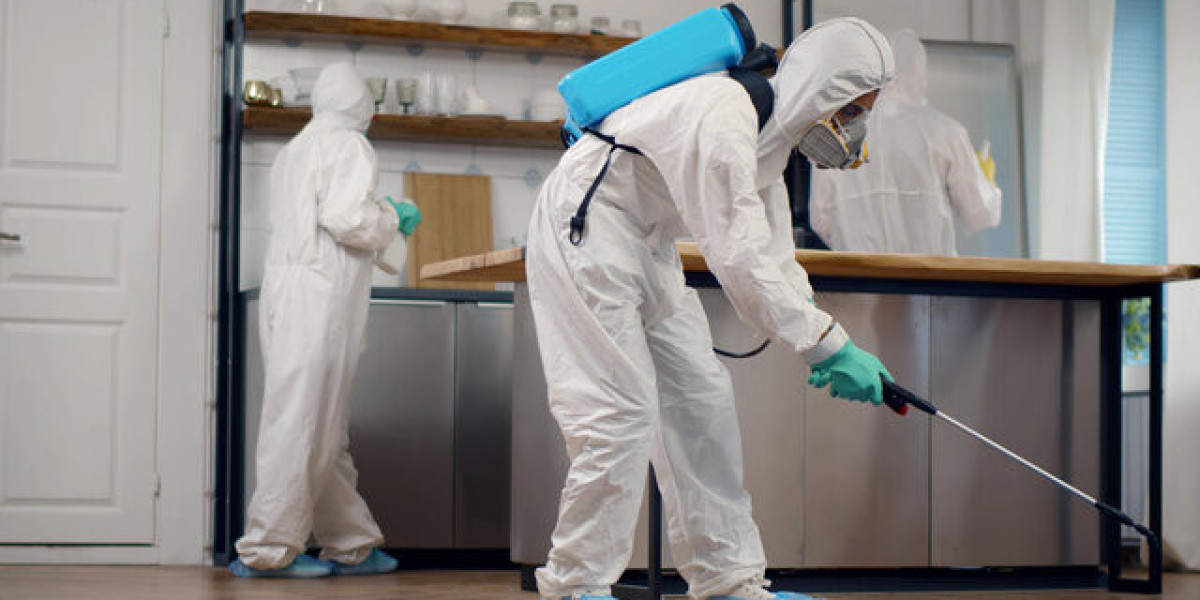 Pest Control Services in Lahore | Termite Treatment Experts