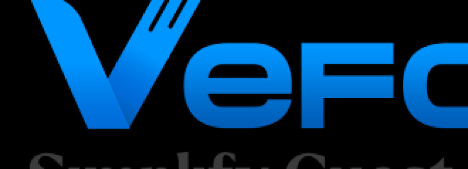 VEFOGIX Business Cover Image