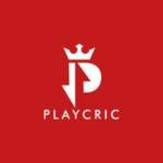 Playcric Official Profile Picture