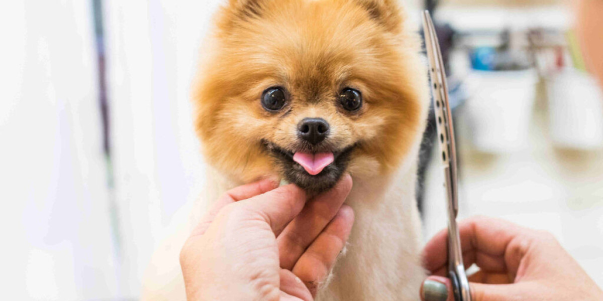 Top Pet Grooming Hacks Every Pet Owner Should Know