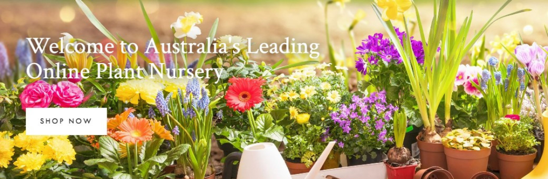 Online Plants Cover Image