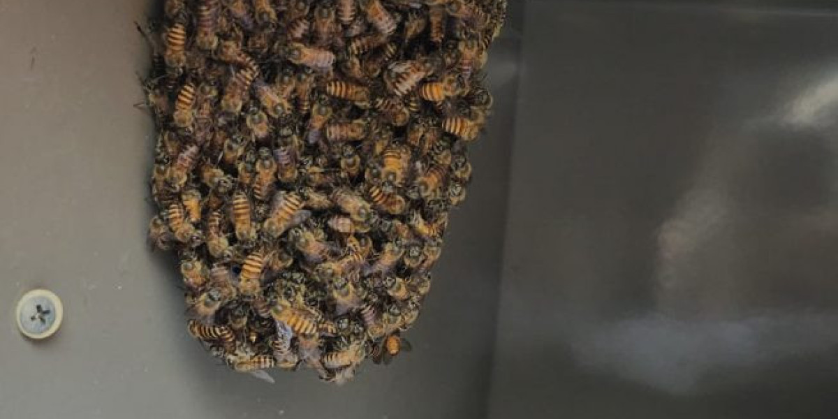 Bee Control Singapore | Safe & Effective Solutions