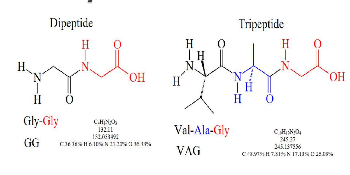 Premium Quality Peptides for Research and Development