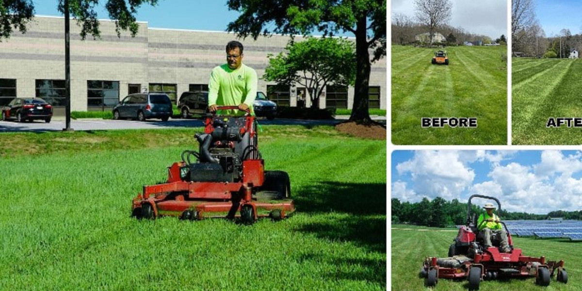 Lawn Mowing Randwick – Reliable & Professional Outdoor Care