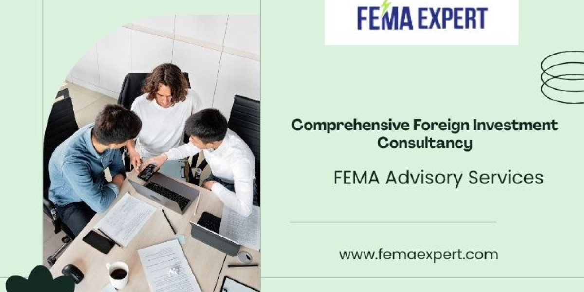 Professional FEMA Advisory Services & Foreign Investment Consultancy