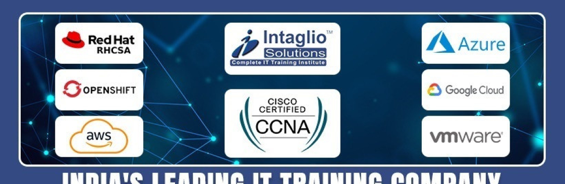 Intaglio Solution Cover Image