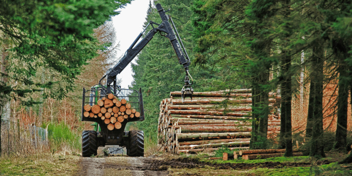 Vermont County Foresters: Local Experts in Sustainable Forest Management