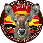 Serengetik Smile Profile Picture