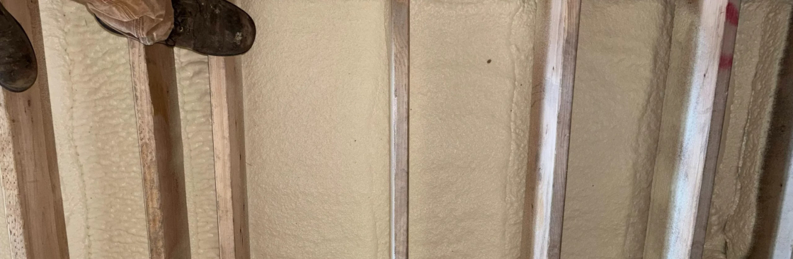 South Chicago Insulation Cover Image