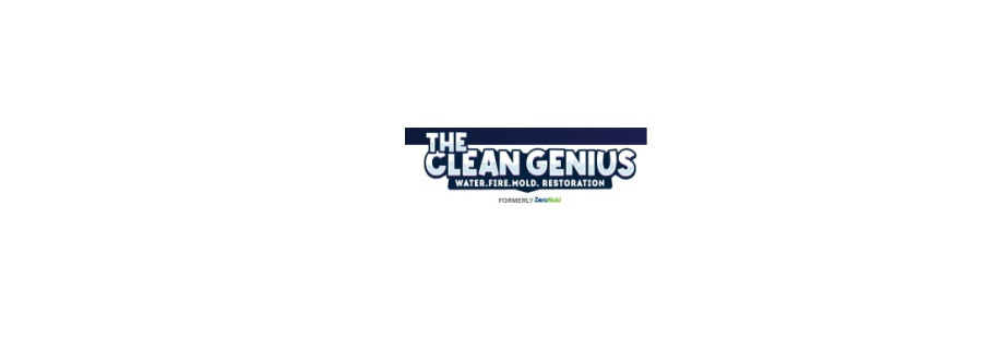 The Clean Genius Cover Image