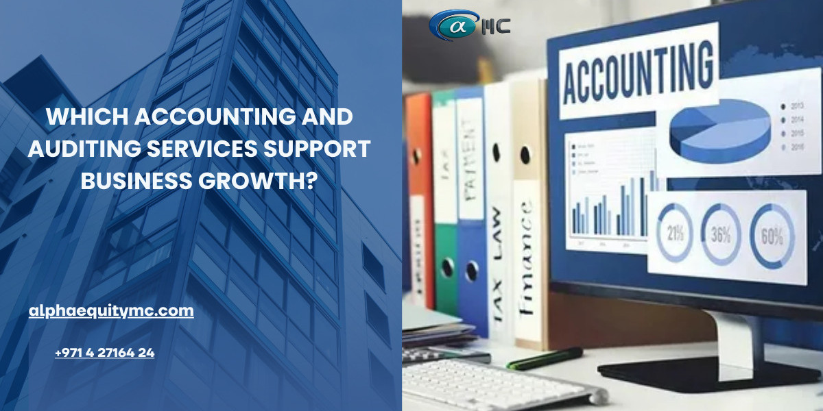 Which Accounting and Auditing Services Support Business Growth?