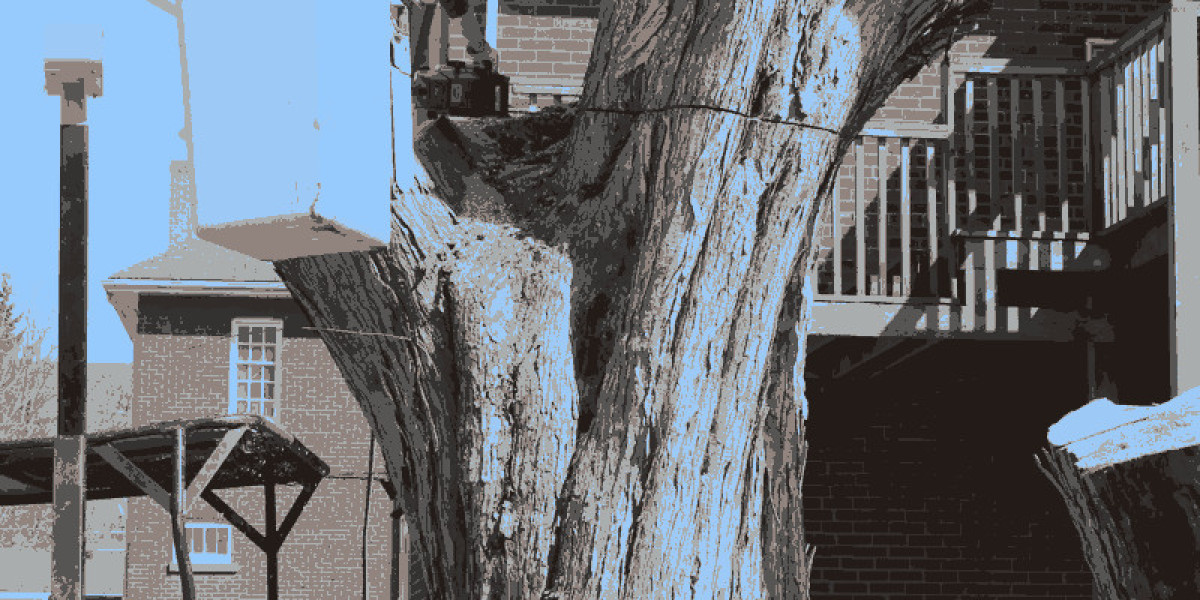 Complete Tree Service Services | Trimming, Removal & Maintenance