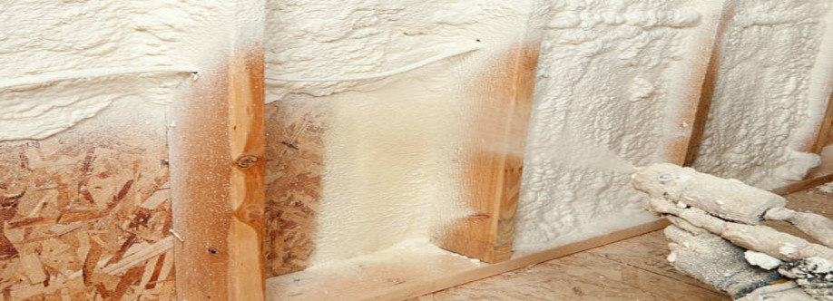 All Foam And Insulation Cover Image