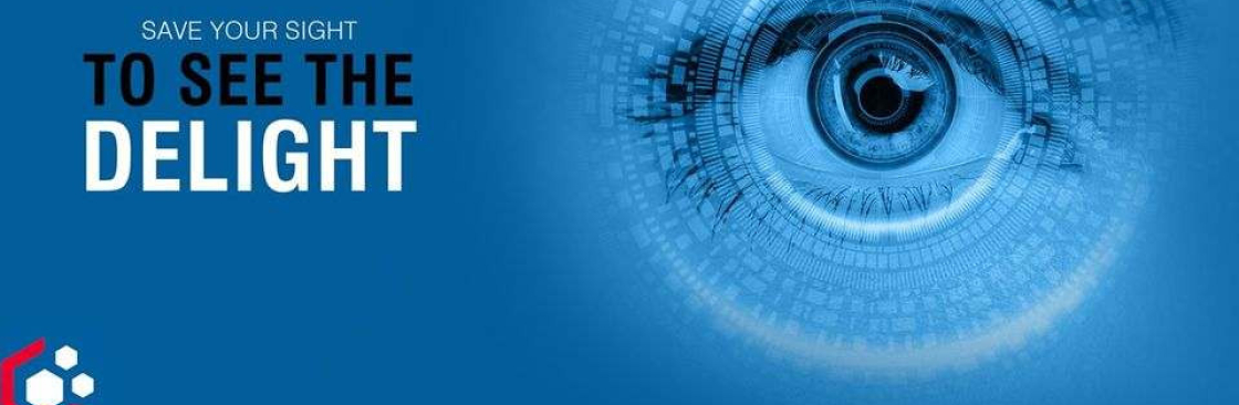 savesight2011 Cover Image